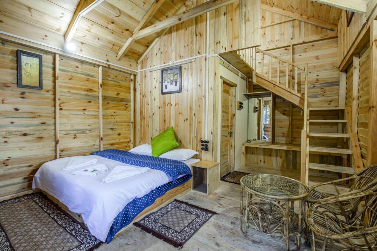 Mid Conifer Cottage Dalhousie Exterior foto